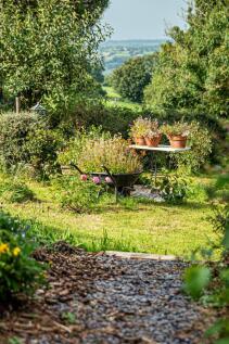 Garden_7.jpg