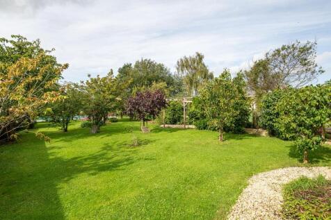 Garden_7.jpg