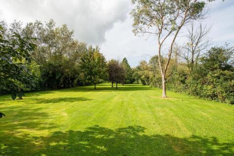 Garden_2.jpg
