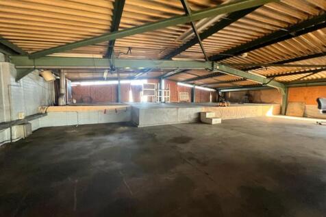 WhatsApp Image 2025-03-03 at 11.09.01.jpeg