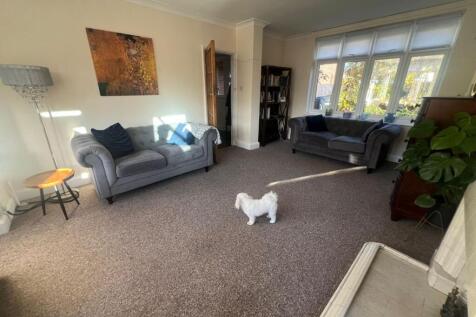 WhatsApp Image 2025-11-04 at 15.15.05.jpeg