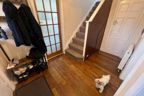 WhatsApp Image 2025-11-04 at 15.15.06.jpeg