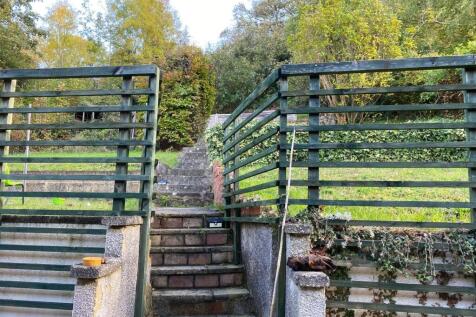 Back garden.jpg