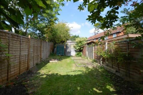 garden 2.jpg