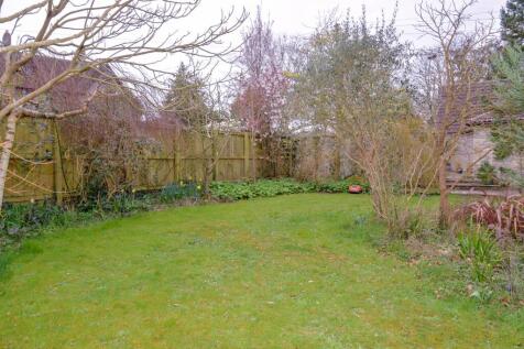 Garden 6.jpg