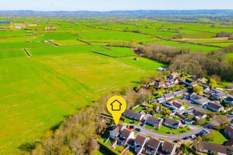 9 Broderip Extra 3.jpg