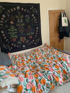 Back bedroom 2.jpg