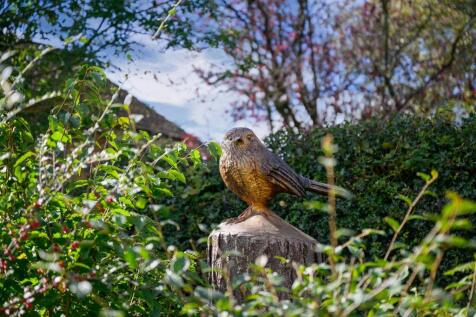 DSC_5720-Edit.jpg