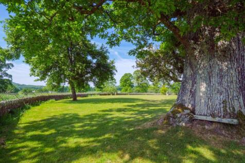 Property Image 46