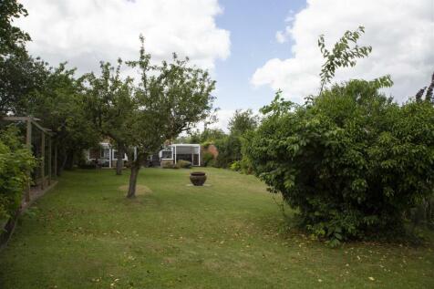 Garden 5.jpg