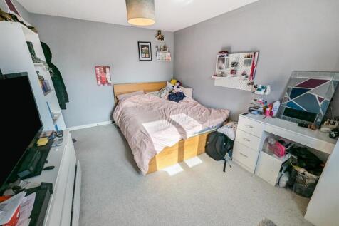 PXL_20250224_114217451.RAW-01.COVER.jpg