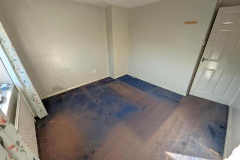 PXL_20250304_152231245.RAW-01.COVER.jpg