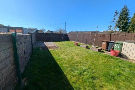 PXL_20250318_105418424.RAW-01.COVER.jpg