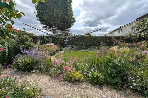 PXL_20250611_133339633.RAW-01.COVER.jpg