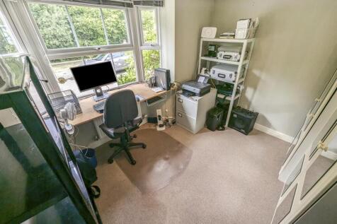 PXL_20250717_151235930.RAW-01.COVER.jpg