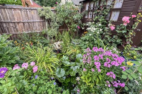 thumbnail_image0 (7).jpg