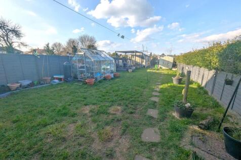 PXL_20250320_161717247.RAW-01.COVER.jpg
