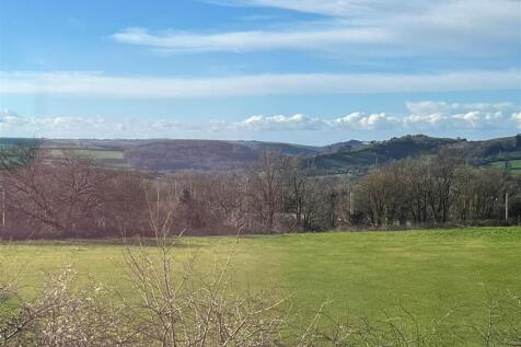 Maple Grove Front View from bed 1 v.jpg