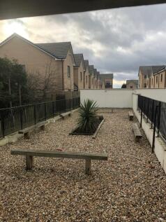 Outdoor area.jpg