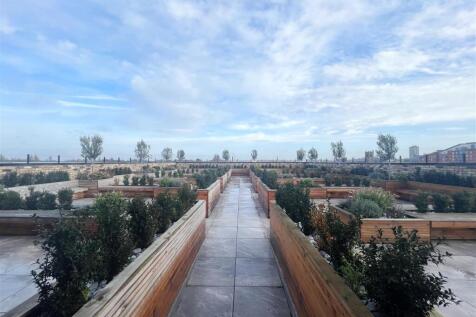 Roof Terrace
