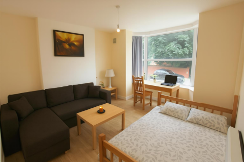 Lounge / Bedroom
