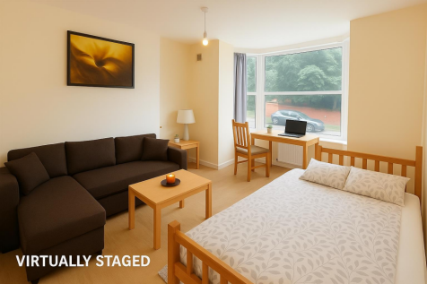 Lounge/ Bedroom