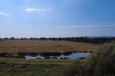 Field View