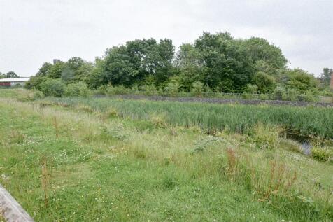 DSC_0019.jpg