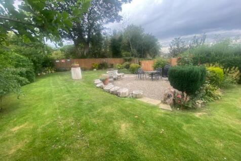 garden 2.jpg
