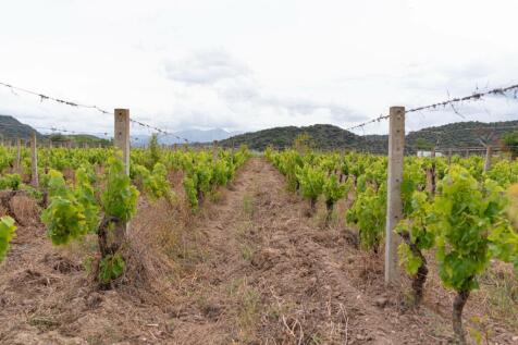 Property Image 62