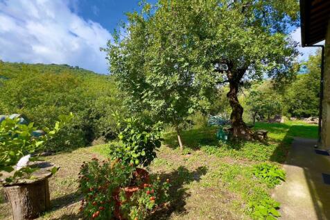 Property Image 44
