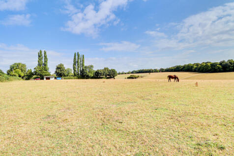 Paddock