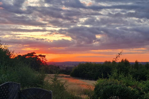 View out