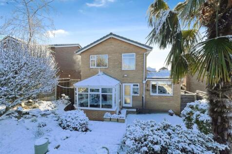 user_edited_photo-c28bda06_user-edited-a12d2493-eb