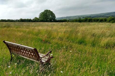meadow-view.jpg