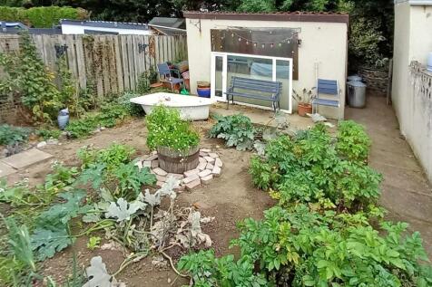Garden.jpg