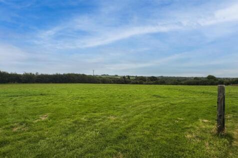 Field 3.jpg