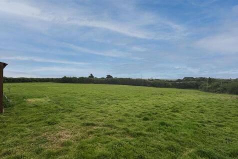 Field 1 (1).jpg