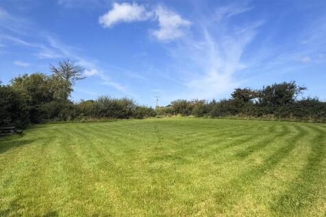 Paddock 3.jpg