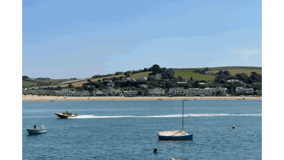 IMG_0319.GIF