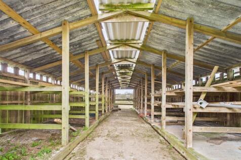 Calf Barn