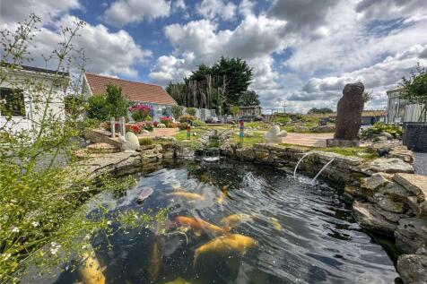 Koi Pond