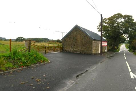 IMG_2153 adjusted.JPG