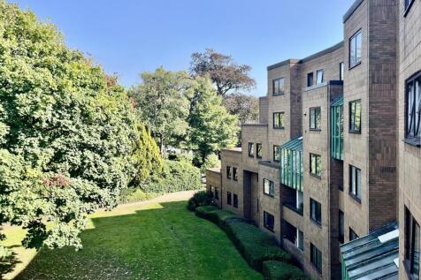 View from Balcony