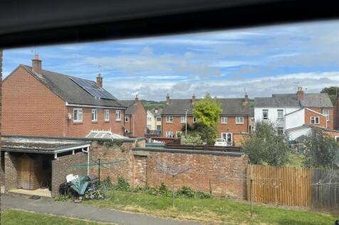 IMG_4786.JPEG