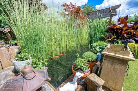 Property Image 26
