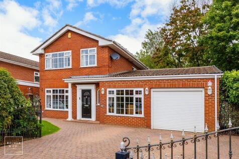 Property Image 43