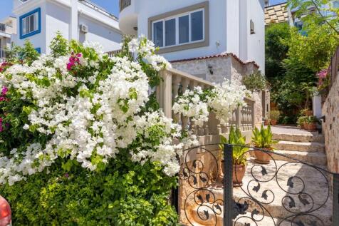 Property Image 23