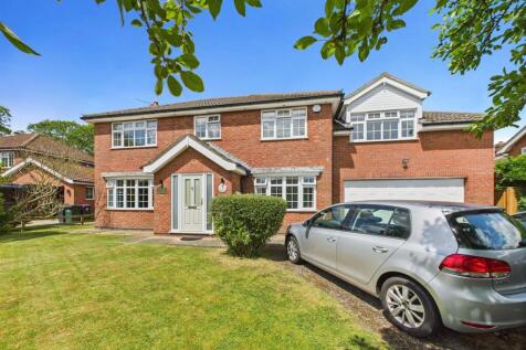 Property Image 44