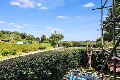 IMG_7448_a4fc-d14b-54ae-2409-fb13-5fdb-582b-dc41_2